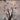 Studio Light - Cherished Memories - Cutting Die - Old tree