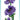 Studio Light - Essentials - Clear Stamp - Anemone